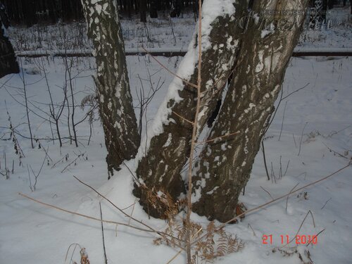 DSC04658_r